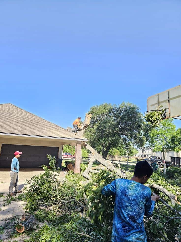 A Good Morning Tree Service