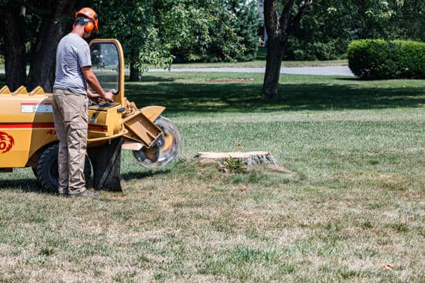 Land & Lot Clearing